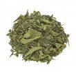 moringa tea