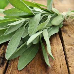 foglie fresche di salvia su tavola di legno per infusione Thés & Traditions