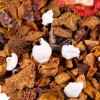tisane citrouille chocolat tisane citrouille chocolat