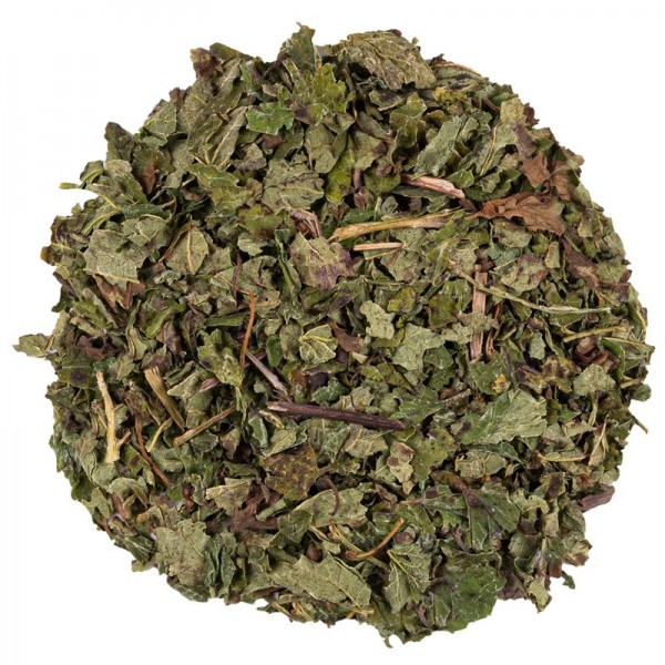 Tisane de menthe poivrée