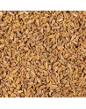 graines d anis brun entières pour infusion et cuisine naturelle