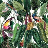 tropische illustratie exotisch bladwerk kleurrijke toekan en pauw