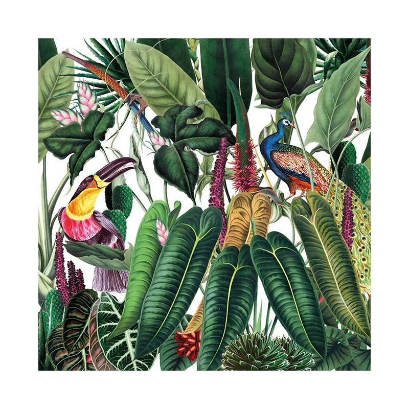 illustrazione tropicale con fogliame esotico tucano e pavone colorati