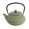 Japanese Arare cast iron teapot