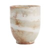 Yunomi Shino Tea Cup