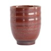 Yunomi Tetsuaka Tea Cup