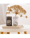 Komorebi-Dose 150g mit japanischen Motiven verziert, auf Büchern arrangiert mit getrockneter Pflanze im Hintergrund