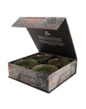 Coffret quatre bols verts en céramique finition brillante motif japonais traditionnel
