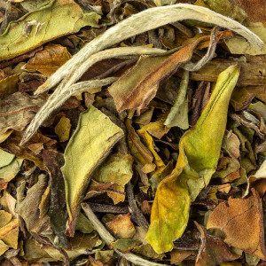 dried Paï Mu Tan white tea leaves with green and brown hues