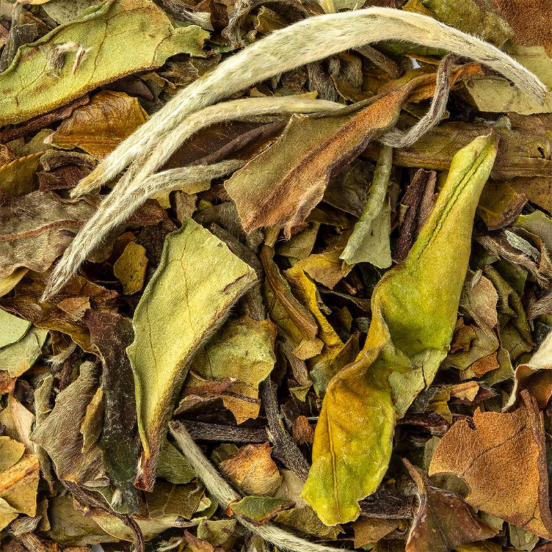 dried Paï Mu Tan white tea leaves with green and brown hues