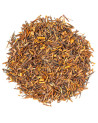 loose natural rooibos leaves reddish brown color for infusion