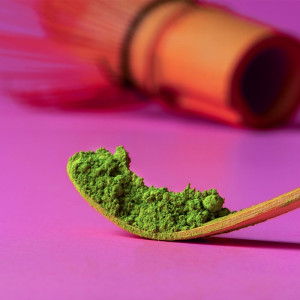 Bio-Matcha als Pulver – Bambuslöffel dosiert einen fein gemahlenen grünen Tee, angebaut in Kagoshima, Japan.