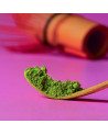 Bio-Matcha als Pulver – Bambuslöffel dosiert einen fein gemahlenen grünen Tee, angebaut in Kagoshima, Japan.