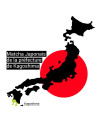 Bio-Matcha Zeremonialqualität aus Kagoshima, Japan