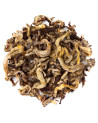 Snow Dragon 1st Grade white tea leaves with downy buds and varied natural colors