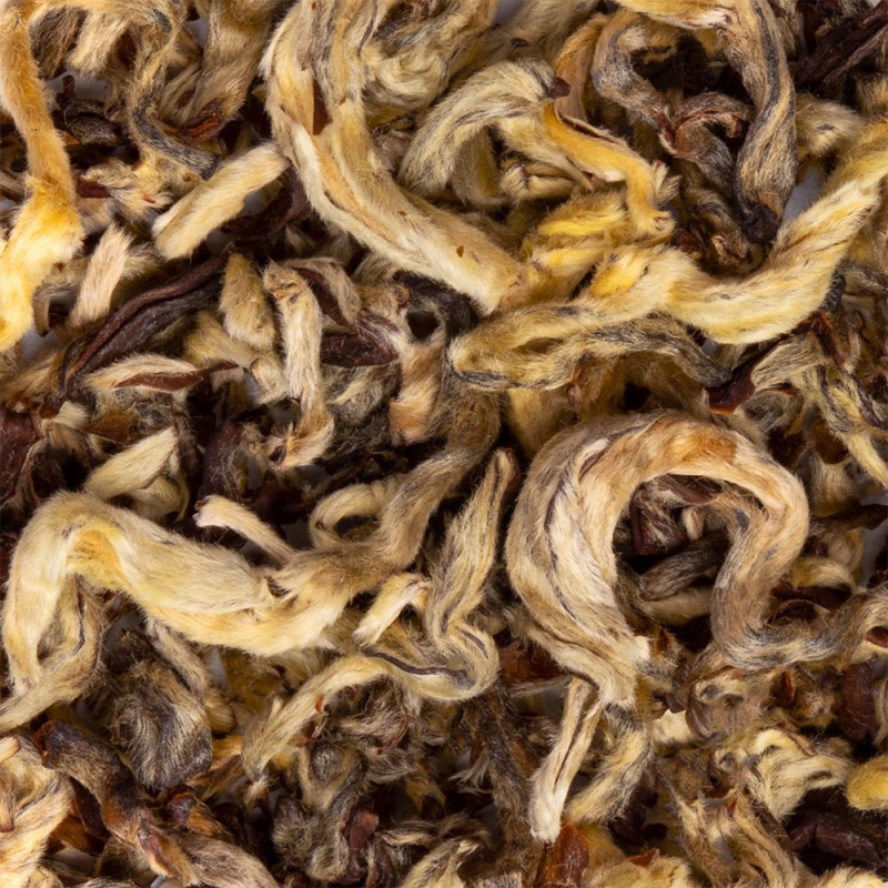 Snow Dragon 1st Grade white tea leaves with silver and golden hairs