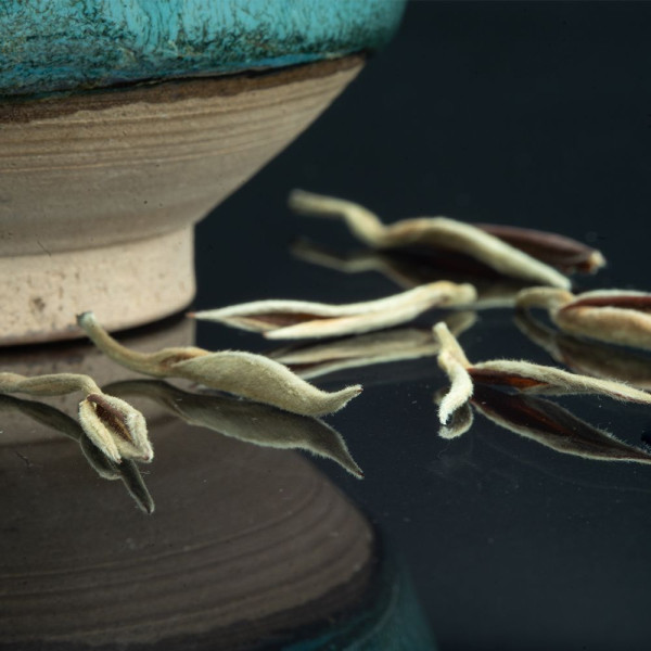 Knoppen van witte thee Yin Zhen Silverneedle op zwarte ondergrond met turquoise keramische kom