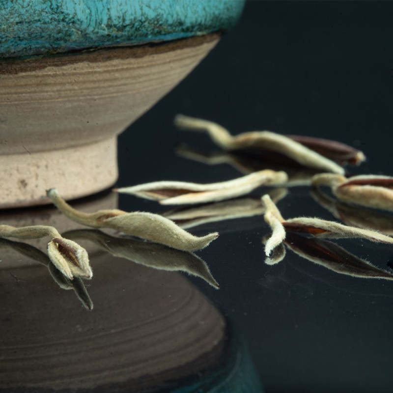 Germogli di tè bianco Yin Zhen Silverneedle su superficie nera con ciotola in ceramica turchese
