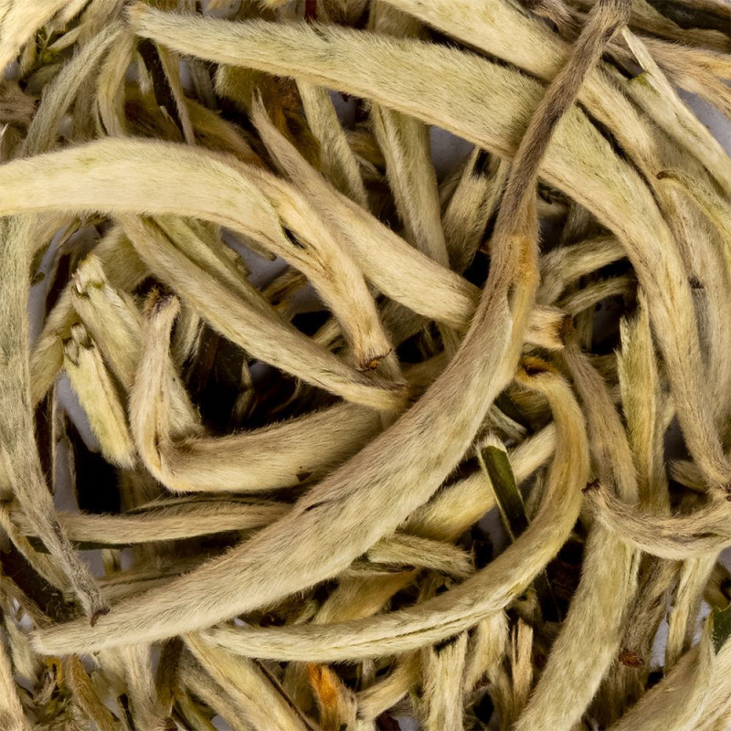 feuilles de thé blanc Yin Zhen Silverneedle aux poils argentés et forme allongée