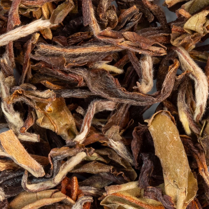 Blätter des Bio-Darjeeling Phuguri 1st Flush mit braunen und weißen Nuancen