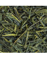 premium sencha konomi loose green tea leaves with green and brown hues