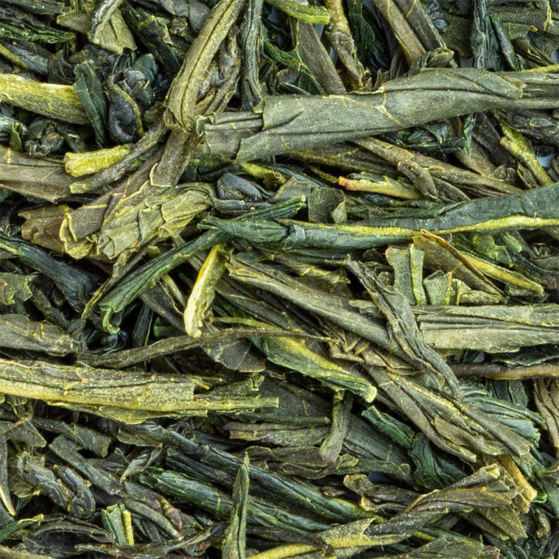 grüner Tee Japan Sencha Mizuki ganze Blätter gerollt grüne und hellgelbe Farbe