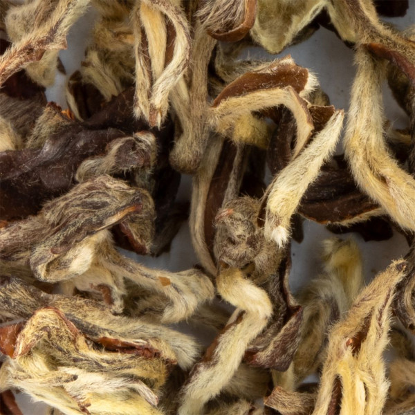 green tea leaves Green Jade Silver Snail 1st grade with downy buds