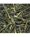 getrocknete Blätter des grünen Gyokuro Mikoto mit dunklem Grünton und feinen Stängeln