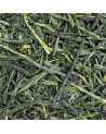 Gyokuro Kusanagi groene thee hele gerolde bladeren donkergroene en lichtgroene kleur