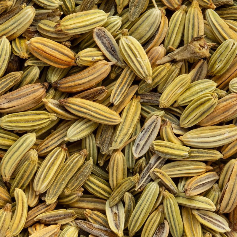 graines de fenouil séchées pour tisane Thés et Traditions couleur verte et brune