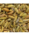 graines de fenouil séchées pour tisane Thés et Traditions couleur verte et brune