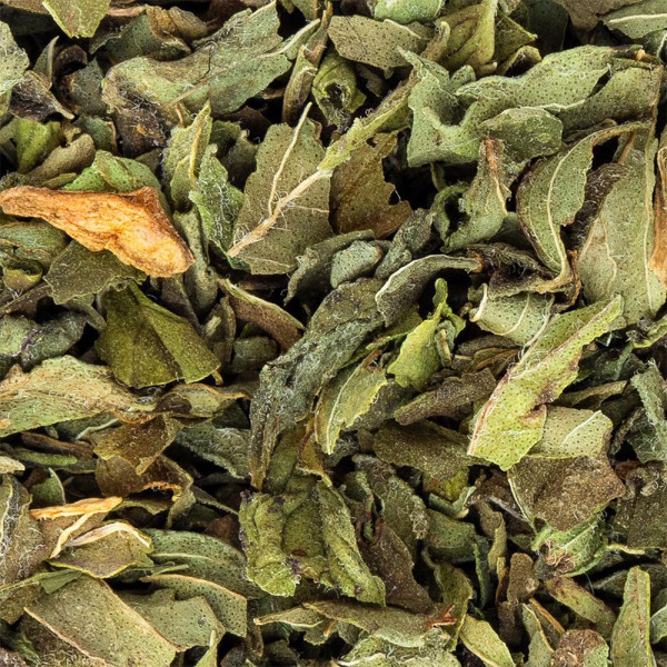 dried peppermint herbal tea leaves for Thés et Traditions infusion