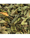 feuilles séchées de tisane menthe poivrée pour infusion Thés et Traditions