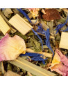 Mischung aus getrockneten Pflanzen, Blütenblättern und Kräutern für Ayurveda-Kräutertee Pitta
