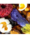 Mischung aus getrockneten Früchten, Blütenblättern und Beeren für Kräutertee Himbeere Pop