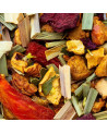 Kräuterteemischung Sommerglanz von Thés & Traditions mit farbigen Stücken getrockneter Früchte und Pflanzen