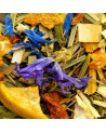 Mischung aus getrockneten Pflanzen, blauvioletten Blüten, Rinden und Kräutern für Kräutertee Garten der Venus