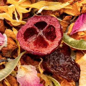 Mischung aus getrockneten Früchten, Cranberry, Zitrone, Blättern und Blütenblättern für Kräutertee von Thés & Traditions