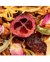 Mischung aus getrockneten Früchten, Cranberry, Zitrone, Blättern und Blütenblättern für Kräutertee von Thés & Traditions