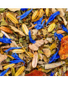 Mischung aus getrockneten Kräutern mit blauen Blüten, Samen und Rindenstücken für Ayurveda-Kräutertee Kapha