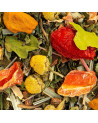 miscela di tisana detox alla menta con foglie secche, fiori di camomilla, pezzi di frutta rossa e arancia