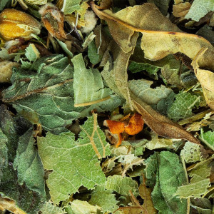 Mischung aus getrockneten Lindenblüten und Minze für Kräutertee von Thés & Traditions
