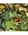 Mischung aus getrockneten Lindenblüten und Minze für Kräutertee von Thés & Traditions