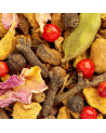 Mischung aus Gewürzen und Pflanzen für Kräutertee Chakra Chai mit Nelken, Kardamombeeren und Blütenblättern