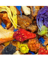 Mischung aus getrockneten Früchten und farbigen Blütenblättern für Blutorangen-Granatapfel-Kräutertee