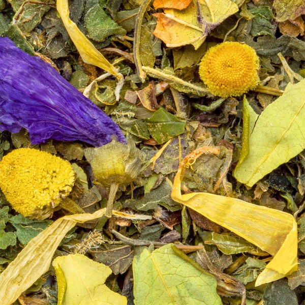 mélange de plantes séchées camomille feuilles et pétales pour tisane Night Detox Thés et Traditions