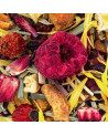 getrocknete Früchte und farbige Blütenblätter des Kräutertees Himbeere Eis von Thés & Traditions