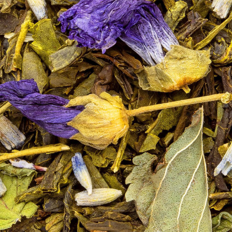 Mischung aus grünem Tee, Lavendelblättern und getrockneten Blüten für den Aufguss Lavendelvarten