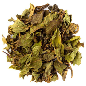 gedroogde bladeren van groene thee met pepermunt voor natuurlijke infusie