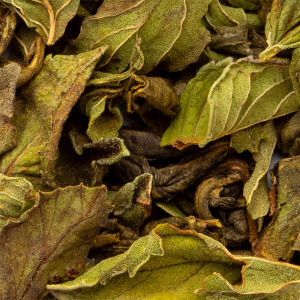 getrocknete Blätter von grünem Tee mit Pfefferminze zur natürlichen Aufgussherstellung
